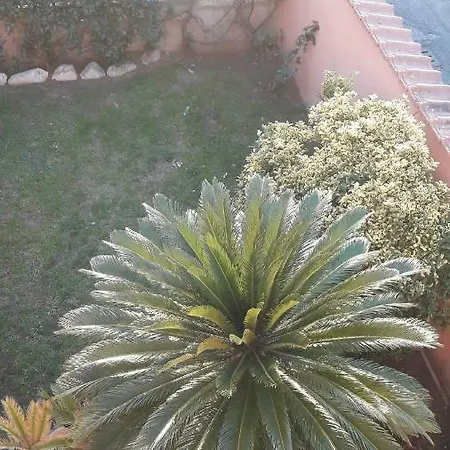 La Camelia Apartment